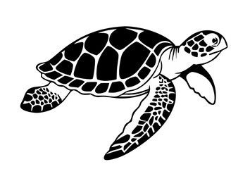 Obraz premium A black and white vector illustration of a turtle
