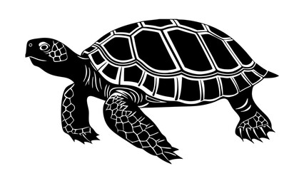Fototapeta premium A black and white vector illustration of a turtle