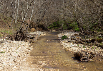 the sources of the river-morning walks along the riverbed with a view of the structure of the banks on a spring morning