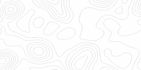 Topographic map white topo background. Topo contour map. Vectors modern design wavy pattern lines. Abstract black lines on white background. Sea map space seamless lines curve shape illustration grid.