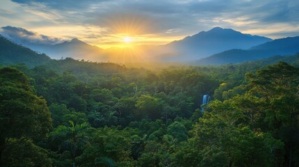 Jungle forest landscape with sun rising. Mountain range at distance. Green tree canopy covers terrain. Golden light bathes the environment at dawn.