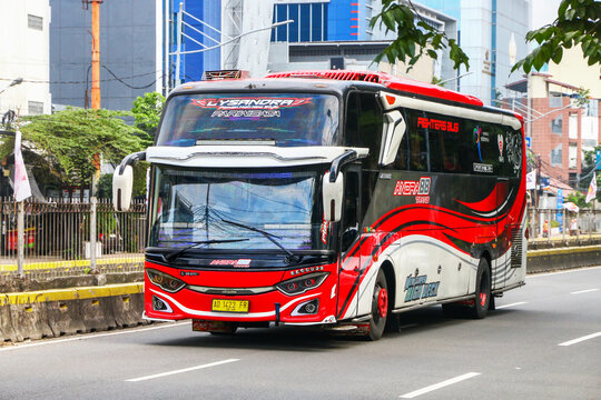 Adi Putro Jetbus 3+ SHD
