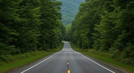 Fototapeta premium Driving Through Forest Road with Trees and Mountains in Background