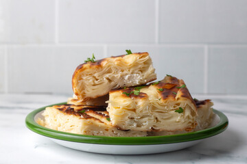 Delicious Turkish food; Tray pastry; (Turkish name; Su boregi)