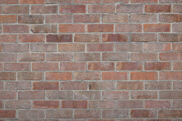 A brick wall with a few bricks missing