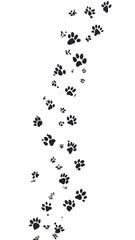Animal Paw Print Trail Vector Illustration Suggesting Movement and Tracking