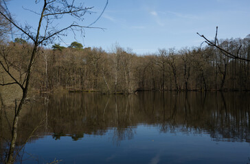 Leyenweiher in den Aggerauen