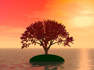 Mysterious application island
