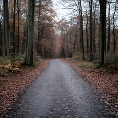 Obraz premium Autumnal forest path winding through trees, leaves on ground, misty background; travel, nature