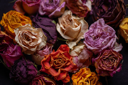 bunch of roses