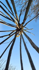 hazelnut sticks for a tipi © TwilightArtPictures