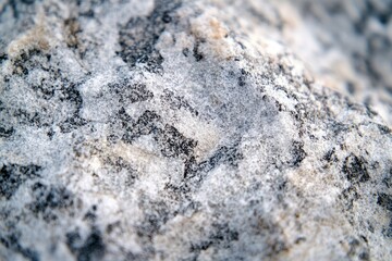 Close-up of a weathered rock surface showing intricate textures and patterns of grey and white.