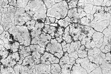 Dirty old cracked concrete floor texture background. Black mould on cement surface. Grunge and rough backdrop.