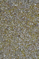 A close up of a rock surface with moss growing on it