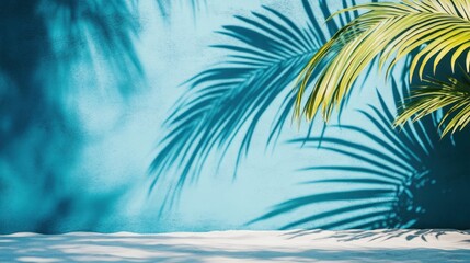 Fototapeta premium Tropical palm shadows on blue wall, beach product display