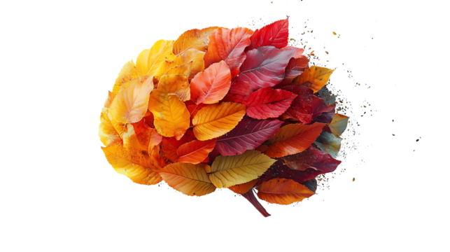 png autumn leaves brain concept with vibrant red, orange, and yellow foliage representing intelligence, cognition, and imagination in a seasonal, organic, and artistic design isolated on background