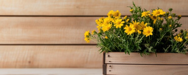 Fototapeta premium Handpicked yellow wildflowers in a wooden basket, cottagecore aesthetic