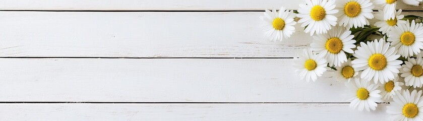 Obraz premium Dreamy country aesthetic with daisies arranged on whitewashed wooden planks
