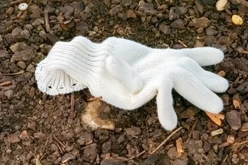 Fototapeten Sommer Unused white glove resting on gravel path surrounded by nature on a sunny day  © funkenzauber
