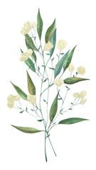 Watercolor hand drawn illustration of a grass sprig. Green sprig illustration. Perfect for wedding, birthday, seasonal holidays.