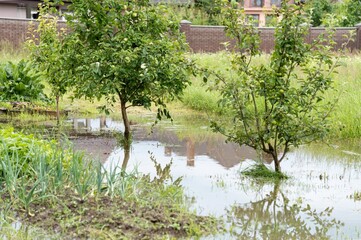 Flooding in residential area caused by heavy rain affecting gardens and vegetation
