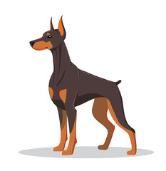 vector of doberman standing in a side view 2d dog vector