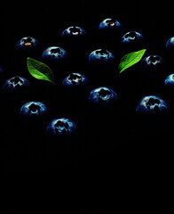 blueberries on dark background