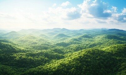 Naklejka premium Panoramic view of a dense green forest stretching across rolling hills, illuminated by soft natural sunlight under a bright blue sky, peaceful and untouched,