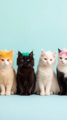 A group of cats with different colored fur sit in a row. The cats are all different colors, including black, white, and orange. The scene is bright and cheerful, with the cats looking up at the camera