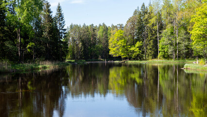 Obraz premium Swedish salmon river landscape in autumn. Farnebofjarden national park in north of Sweden.