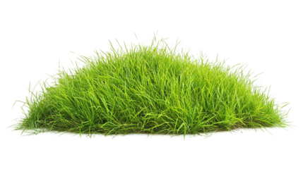 Green grass hill isolated, showcasing a fresh, lush nature field, perfect for promoting outdoor activities, summer landscapes, and natural parks.