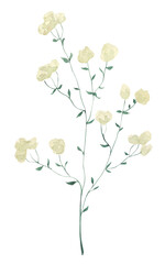 Watercolor hand drawn illustration of a grass sprig. Green sprig illustration. Perfect for wedding, birthday, seasonal holidays.