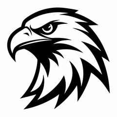 eagle head vector illustration