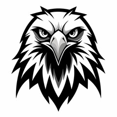 eagle head vector illustration
