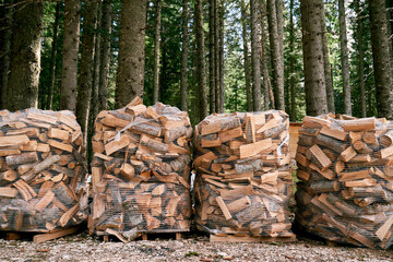 Stacks of firewood in mesh bags stand on pallets in the forest