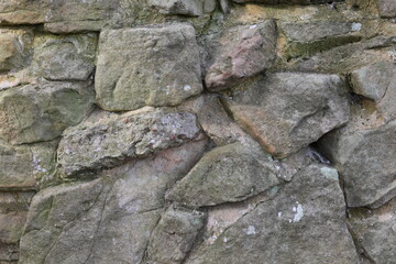 A wall made of rocks with moss growing on it