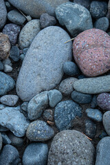 Mosaic of river stone rounded due to weathering by the flowing water of Hell Roaring Creek, Yellowstone National Park