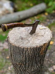 Rustic hatchet with wooden handle shown embedded in a tree stump, surrounded by natural greenery...