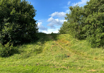 A lush green path flanked by tall trees leads upwards towards a bright blue sky with scattered clouds. The vibrant natural setting conveys a sense of tranquility and open space in Wrose, Bradford, UK