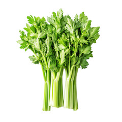 A Bunch of Fresh Celery with Crisp Pale Green Stalks Isolated on Transparent Background