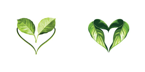 Heart Shapes Created with Green Leaves