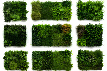 Vertical Garden Panels: Greenery for Walls