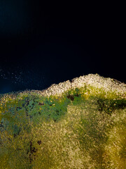 An aerial perspective of a rugged shoreline with rocky terrain, vibrant green vegetation, and calm dark water with subtle ripples near the edge.