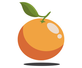 Orange citric organic fruit hand drawn flat illustration