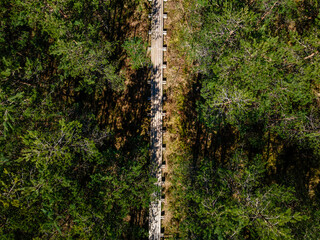 An aerial perspective of a straight wooden boardwalk amidst dense green trees, with sunlight...