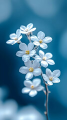 Delicate White Blossoms