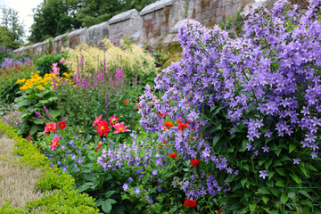 Vivid flowers blooming in the English garden
