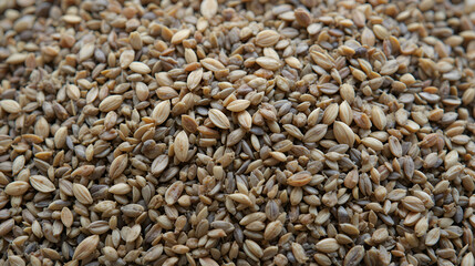 Texture of carom seeds or ajwain, indian spice