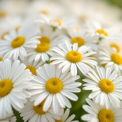 Macro photograph of flowers with detailed petals