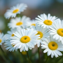 Fototapeta premium Macro photograph of flowers with detailed petals